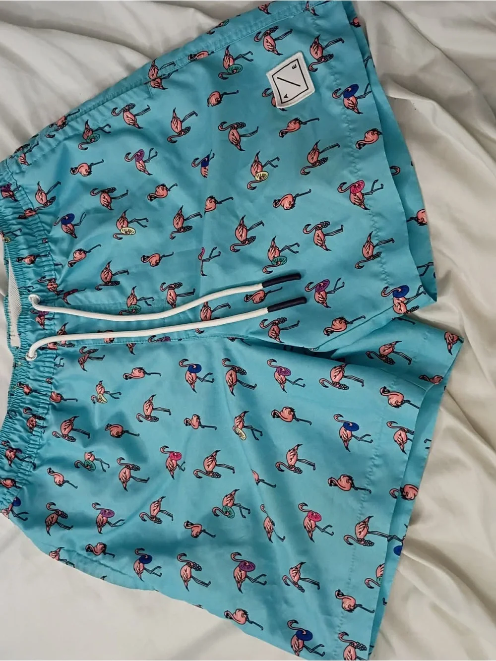 American Eagle Aqua Blue Flamingo Swim Shorts